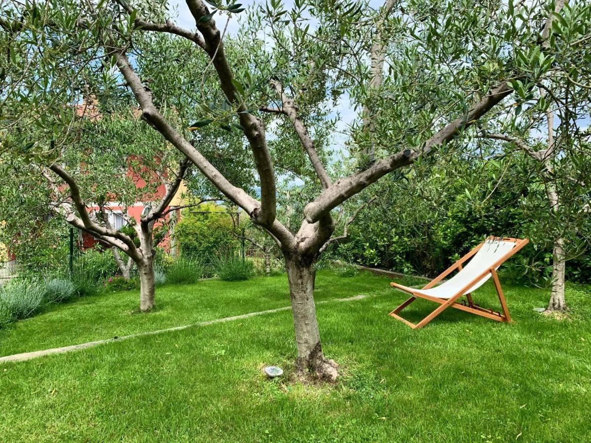 Aloha Apartments Capodistria Esterno foto