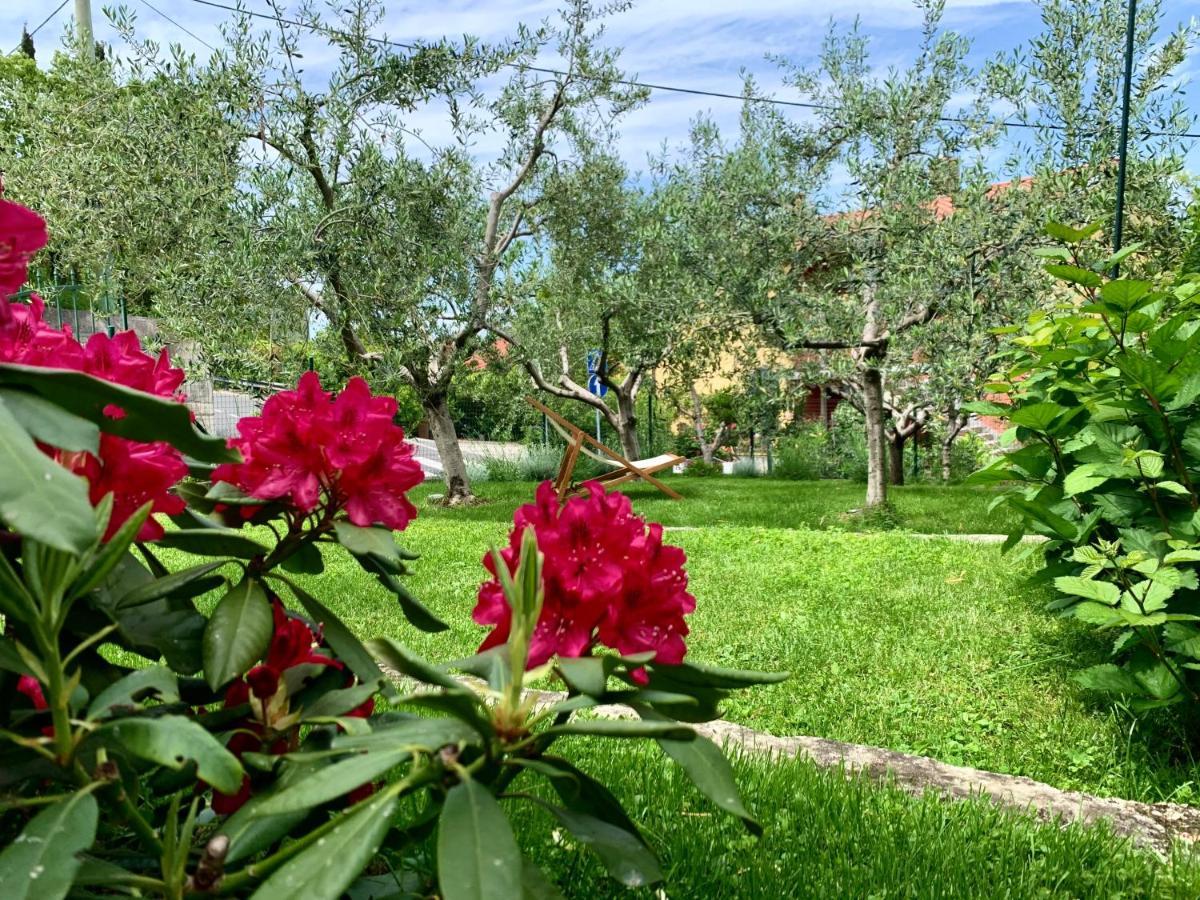 Aloha Apartments Capodistria Esterno foto